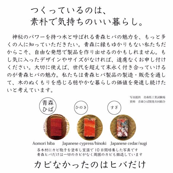 24.5×40  青森ヒバのまな板　寄せ木　カビに強い　削り直し無料 2枚目の画像