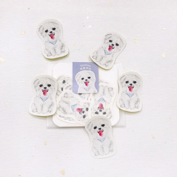 【お気に入りシリーズ】水彩マルチーズ小ステッカー5枚セット 2枚目の画像