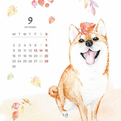 2019桌曆 月曆 年曆 狗狗Smile系列 / 已完售 第2張的照片