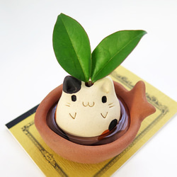 小 Mike Nyanko Hanadate &amp; 魚缸貓形花瓶 第1張的照片