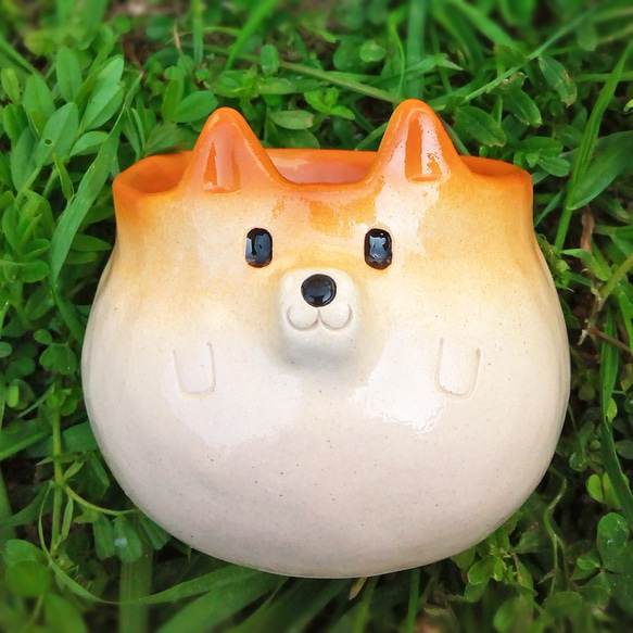 Shiba Inu 蓬鬆杯 Shiba Inu 陶器 第1張的照片