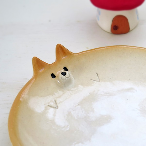 Small Shiba Inu Plate Clear不適用於再次上架 第1張的照片