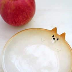 Small Shiba Inu Plate Clear不適用於再次上架 第4張的照片