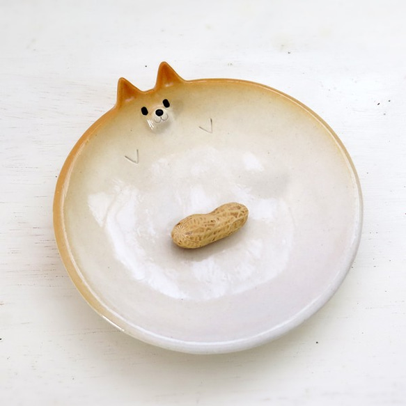 Small Shiba Inu Plate Clear不適用於再次上架 第5張的照片