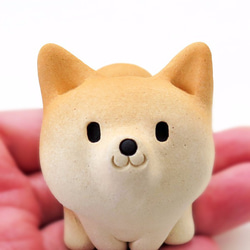 Shiba Wan 坐姿 new3 Shiba Inu 公仔 第1張的照片