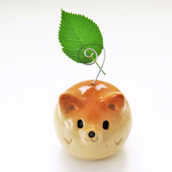 Shiba ball Maru Shiba Inu 便簽夾全新透明 2 Shiba Inu Figurine 第1張的照片