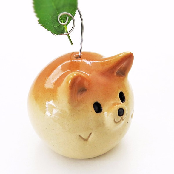 Shiba ball Maru Shiba Inu 便簽夾全新透明 2 Shiba Inu Figurine 第4張的照片