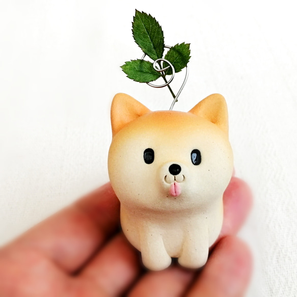 Shiba Inu 備忘錄持有人 2 Shiba Inu 公仔 第2張的照片