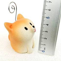 Shiba Inu 備忘錄持有人 2 Shiba Inu 公仔 第5張的照片