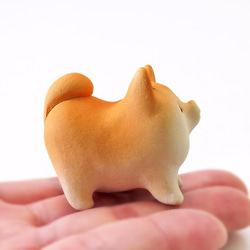 Mini Mini Shiba Wan / 四足姿勢手辦 第4張的照片