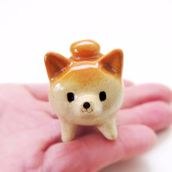 Mini Mini Shiba Wan，四足姿勢清晰 第1張的照片