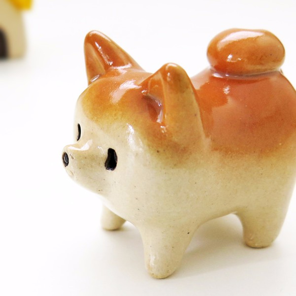 Mini Mini Shiba Wan，四足姿勢清晰 第2張的照片