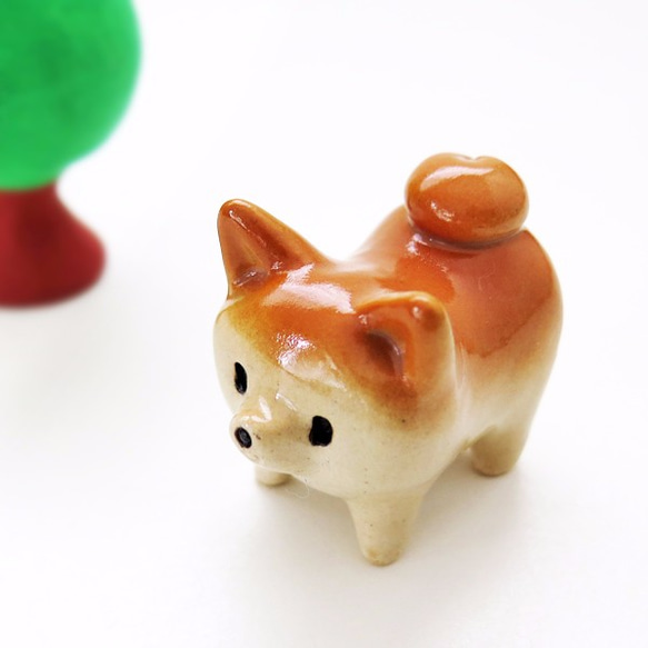 Mini Mini Shiba Wan，四足姿勢清晰 第4張的照片