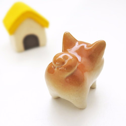 Mini Mini Shiba Wan，四足姿勢清晰 第5張的照片