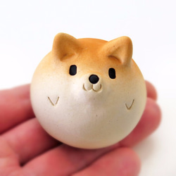 Shiba Ball 完美圓形柴犬鎮紙 1 第5張的照片