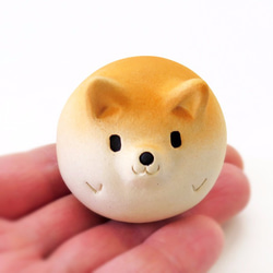 Shiba Ball 完美圓形 Shiba Inu 鎮紙 2 第3張的照片