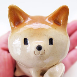 The sugar bowl of Shiba inu shape 4枚目の画像