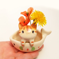 大花貓花瓶 來自 Fishbowl 的問候！ 第1張的照片