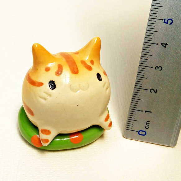 夏季虎斑貓付款人重量Nyanko浮環蓬鬆 第6張的照片
