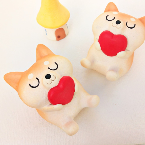 Shiba Inu和Heart Shiba Inui情人節，請來白天！ 第5張的照片