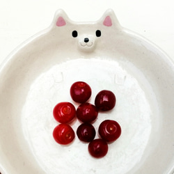 白柴犬の片口皿　陶器の豆腐皿 5枚目の画像