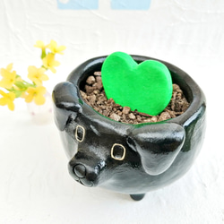 小さなラブラドール植木鉢・黒　陶器のわんこプランター 3枚目の画像