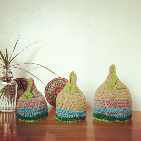 發芽家庭LL尖帽 第1張的照片