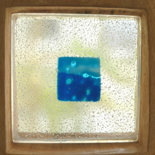 著名な写真家の作品パネル「Look at me 」　沖縄県石垣島の海中にて 71QXWIiHbjL._UF350,350_QL80_.jpg