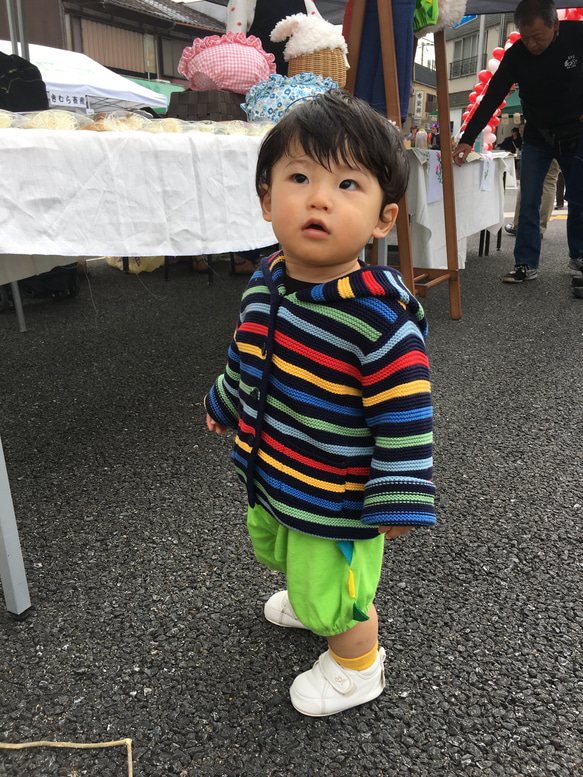 カラフルな恐竜さんのハーフパンツ 6枚目の画像