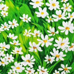 ★USAコットン★デイジーのお花畑柄★ 1枚目の画像