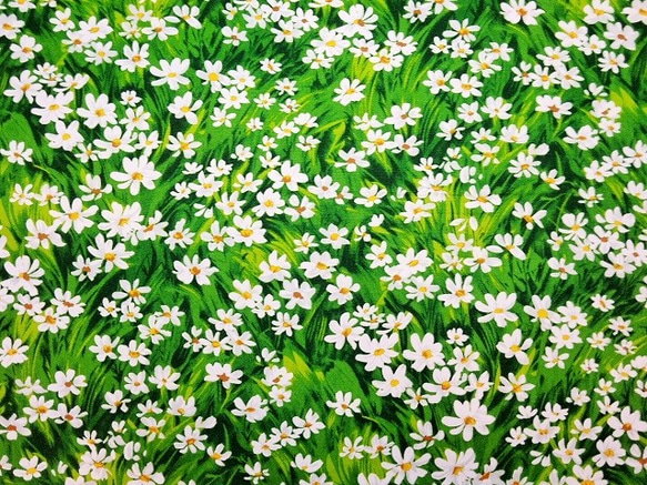 ★USAコットン★デイジーのお花畑柄★ 2枚目の画像