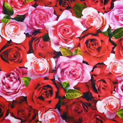 ★USAコットン★赤やピンクのバラ柄★ 2枚目の画像