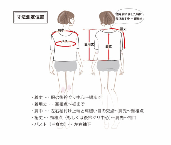  第6張的照片