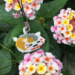 にゃんにゃんにゃんこ にゃんこレストラン ストラップマスコット