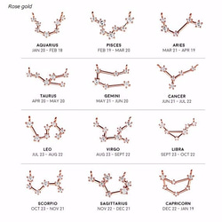 選べる12星座 ネックレス 上品 大人可愛い 6枚目の画像