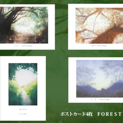 「FOREST」ポストカードセット（4枚入り） 3枚目の画像