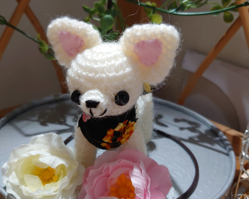 受注制作、スムースチワワの編みぐるみ あみぐるみ みっち♪ 通販