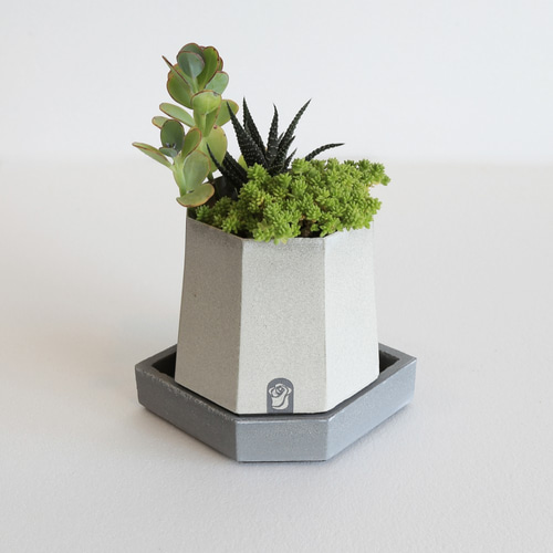 八角形タワー陶器鉢植え+デザインベース無植物多肉植物ポット
