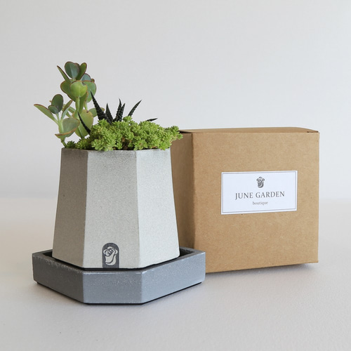 八角形タワー陶器鉢植え+デザインベース無植物多肉植物ポット
