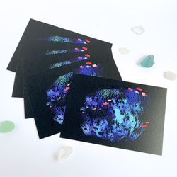 aquarium｜ポストカードセット 1枚目の画像
