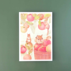 リスとりんごのポストカード（選べる５枚セット） 1枚目の画像