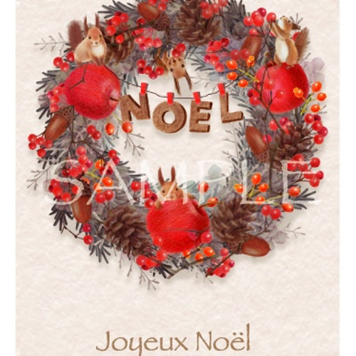 クリスマスリース joyeux noel クリスマス・リース（9）～ Joyeux Noël ～ 29cm（プリザ） アート