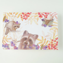 森のアライグマとブルーベリーのポストカード 1枚目の画像
