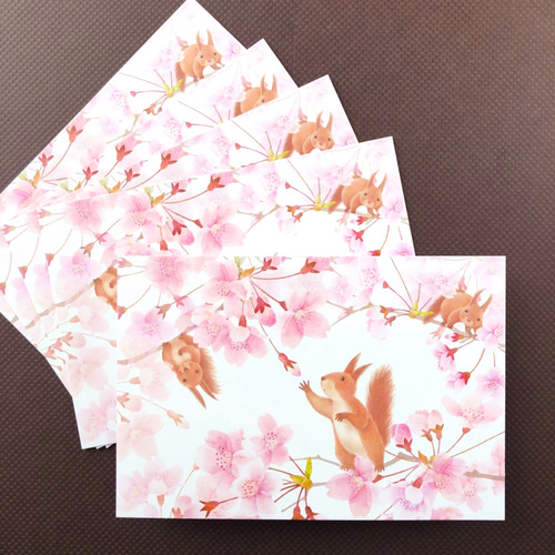 ポストカード「リスと桜」5枚セット（セレクト可） ポスト