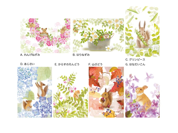 ポストカード「リスと桜」５枚セット（セレクト可） 3枚目の画像