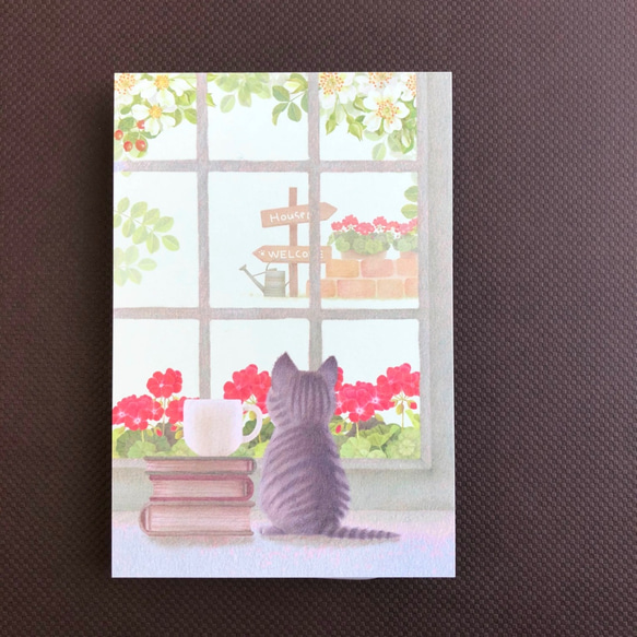 ゼラニウムとちび猫のポストカード（選べる５枚セット） 1枚目の画像