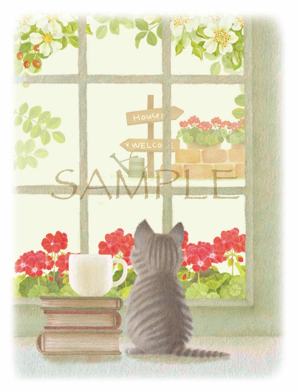 ゼラニウムとちび猫のポストカード（選べる５枚セット） 2枚目の画像