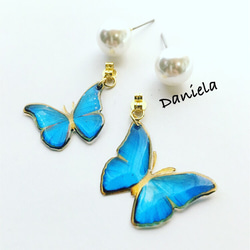 Papillon♡モルフォ蝶とパールピアス 2枚目の画像