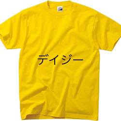 アマビエ　型染めTシャツ　前にアマビエ(大人用) 6枚目の画像