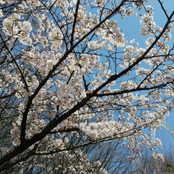 ♡紙モノおすそ分けセット♡詰め合わせ♡ その他雑貨 香りと癒し